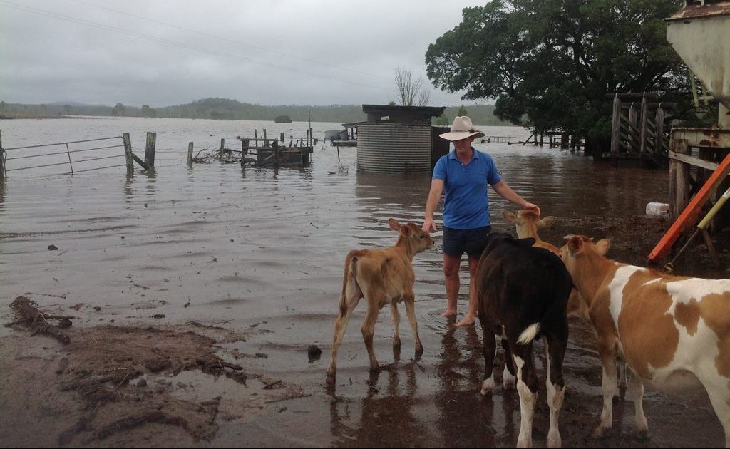 BlazeAid volunteers will stay in the Banana Shire to help farmers rebuild after the floods. BlazeAid volunteers will stay in the Banana Shire to help farmers rebuild after the floods.